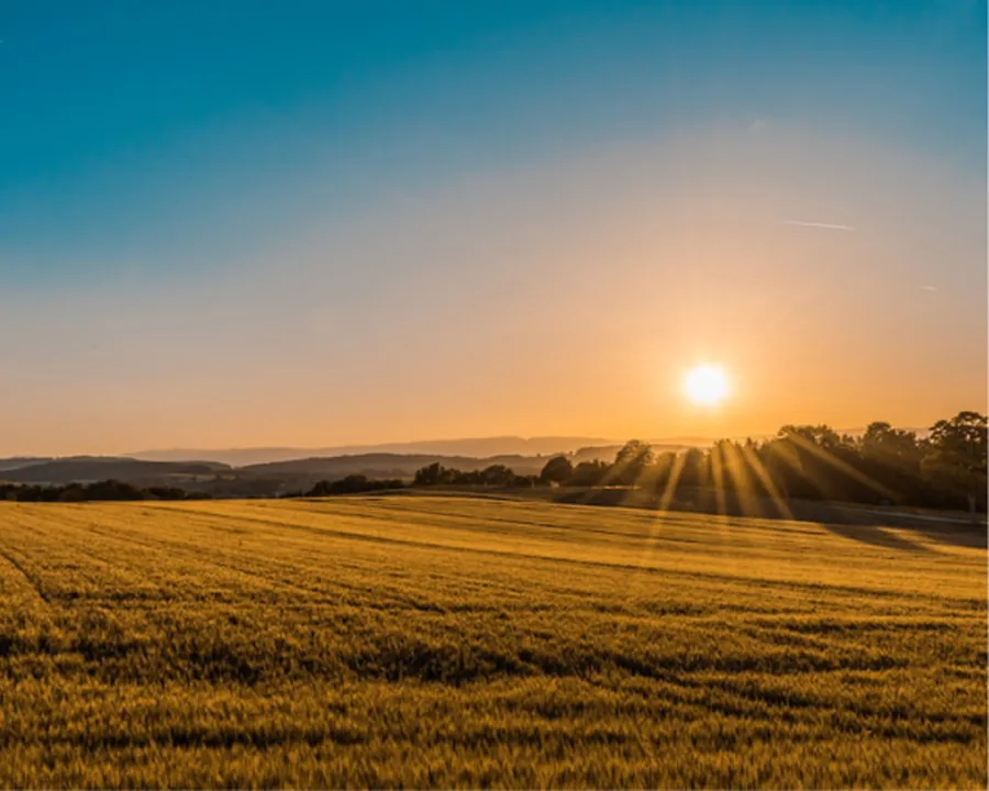 Pukekohe countryside and lifestyle properties